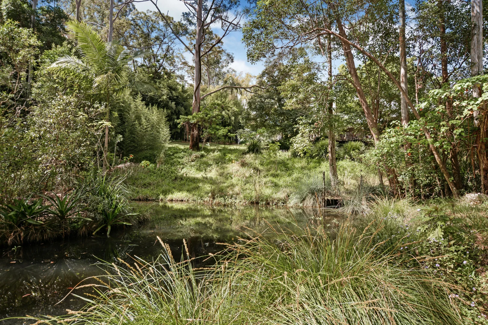 Additional image 21 of 60b Narrows Road, North Maleny QLD 4552