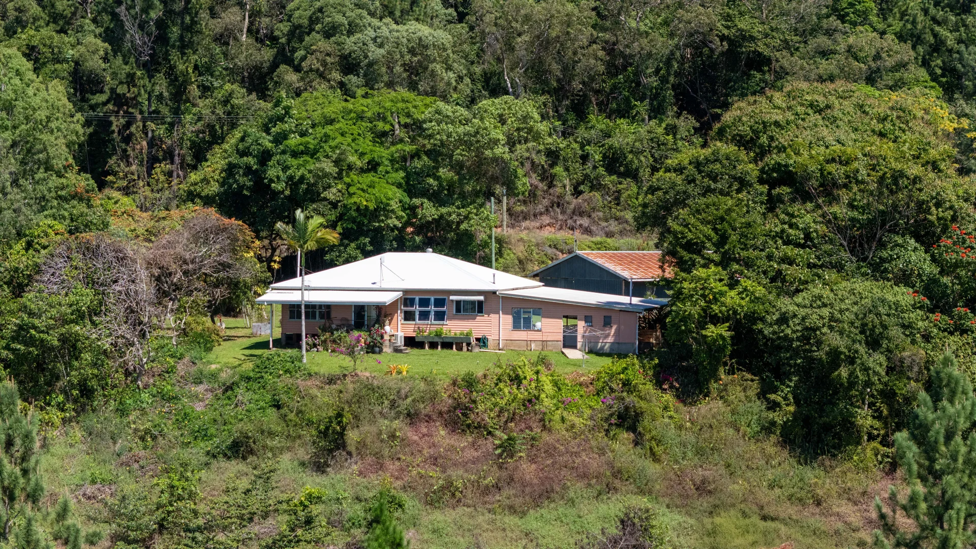 Additional image 44 of 93 Santarossa Road, Cooya Beach QLD 4873