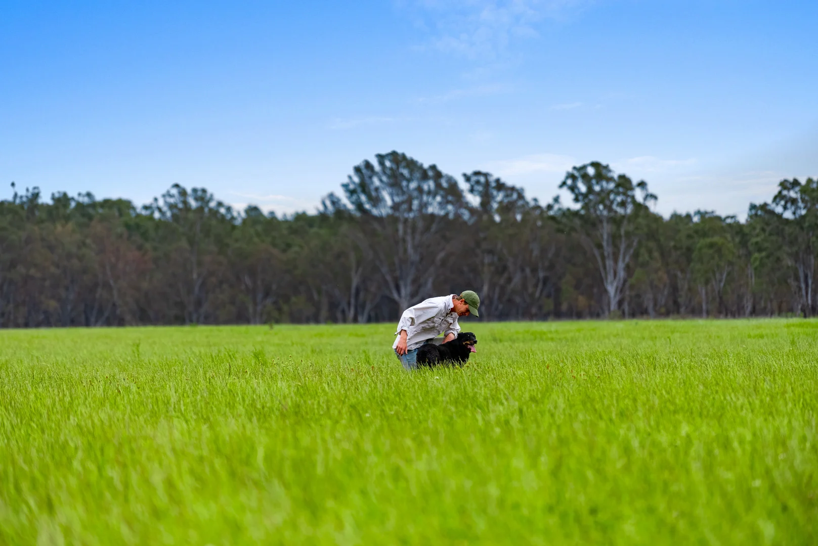 Additional image 16 of 431 Morningside Road, Wahring VIC 3608