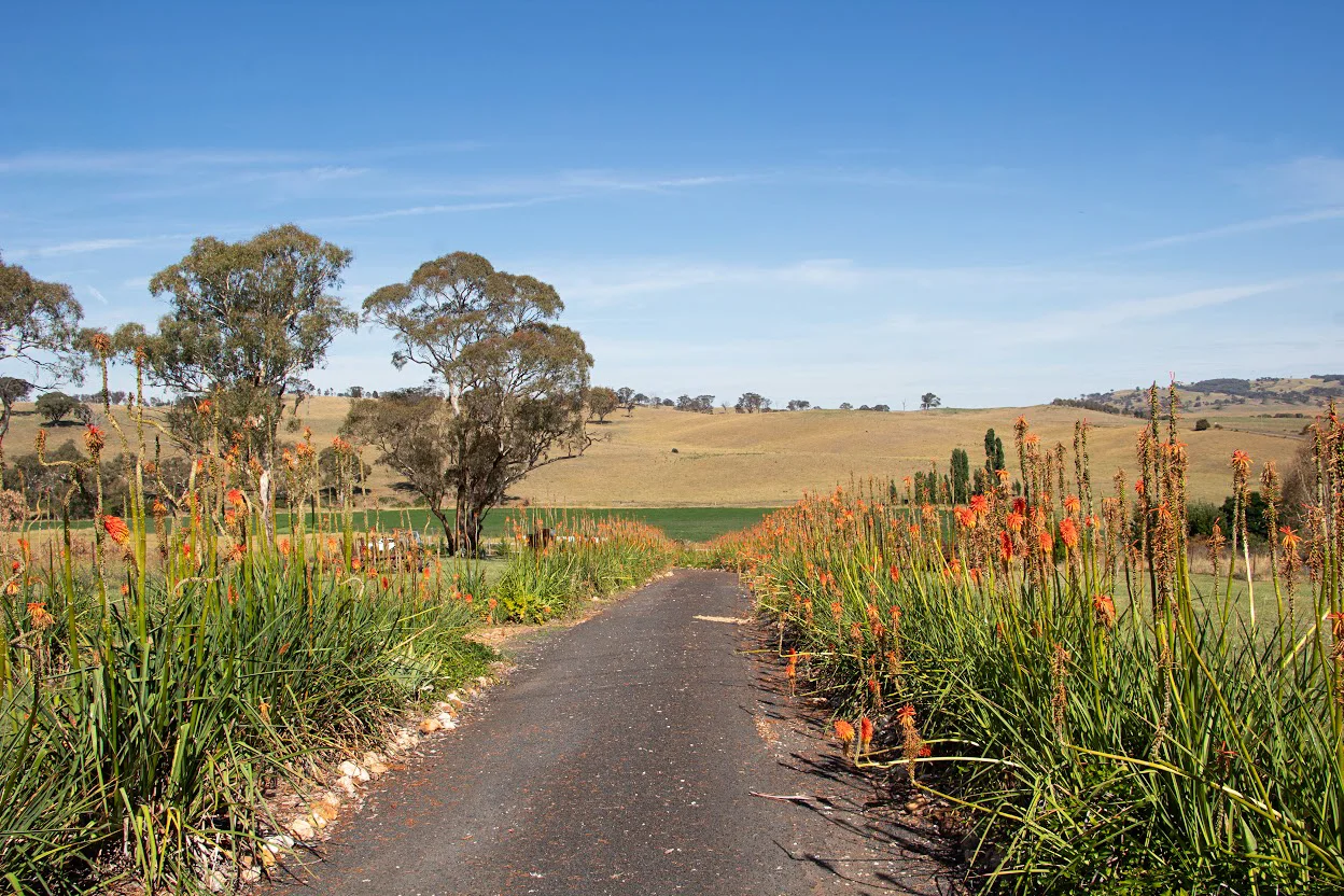 Additional image 6 of 153 Triangle Flat Road, Rockley NSW 2795