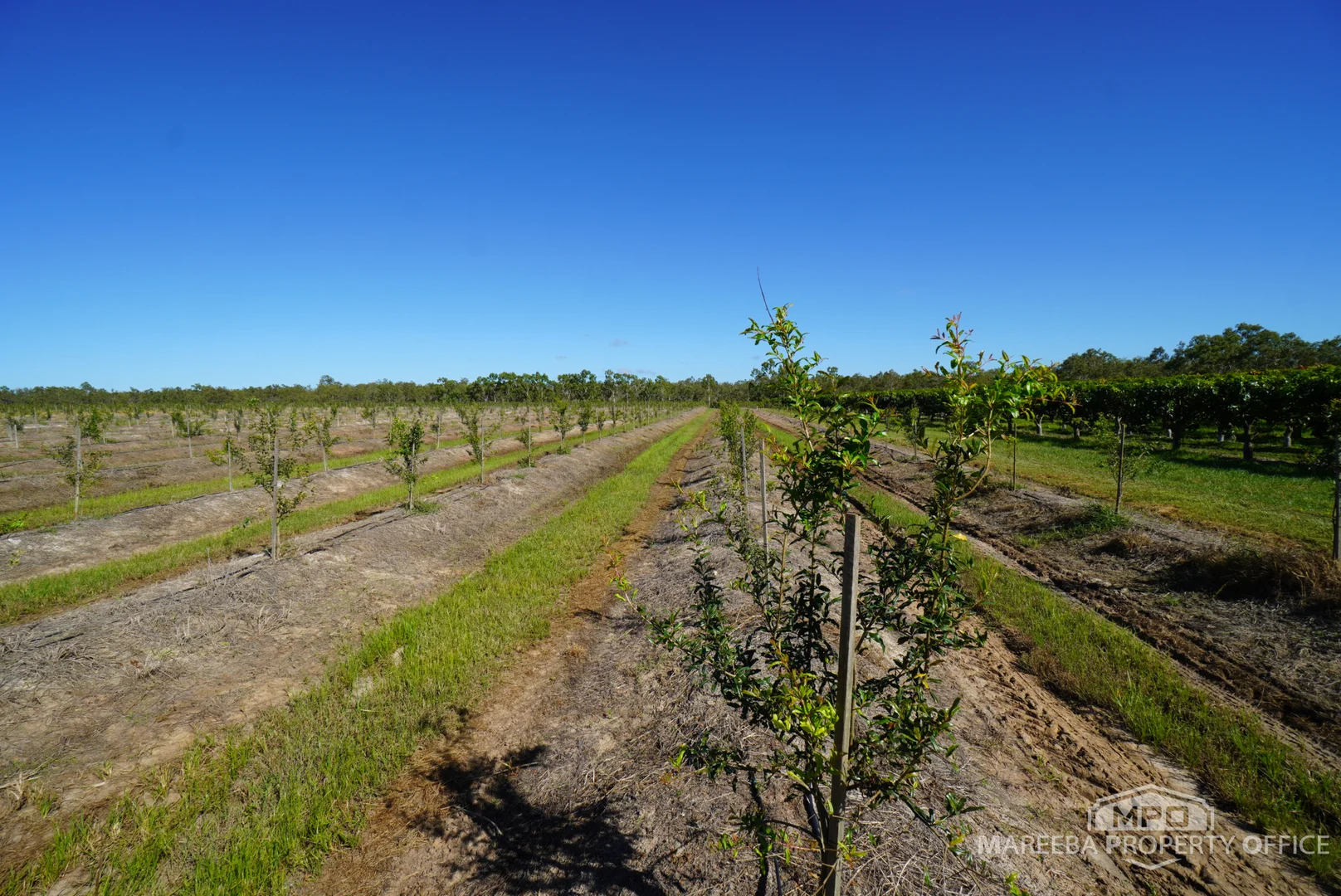 Additional image 15 of 446 Chewko Road, Mareeba QLD 4880