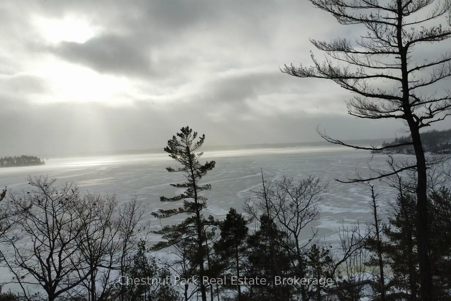 Additional image 15 of 1869 Muskoka 118 Road E206b1