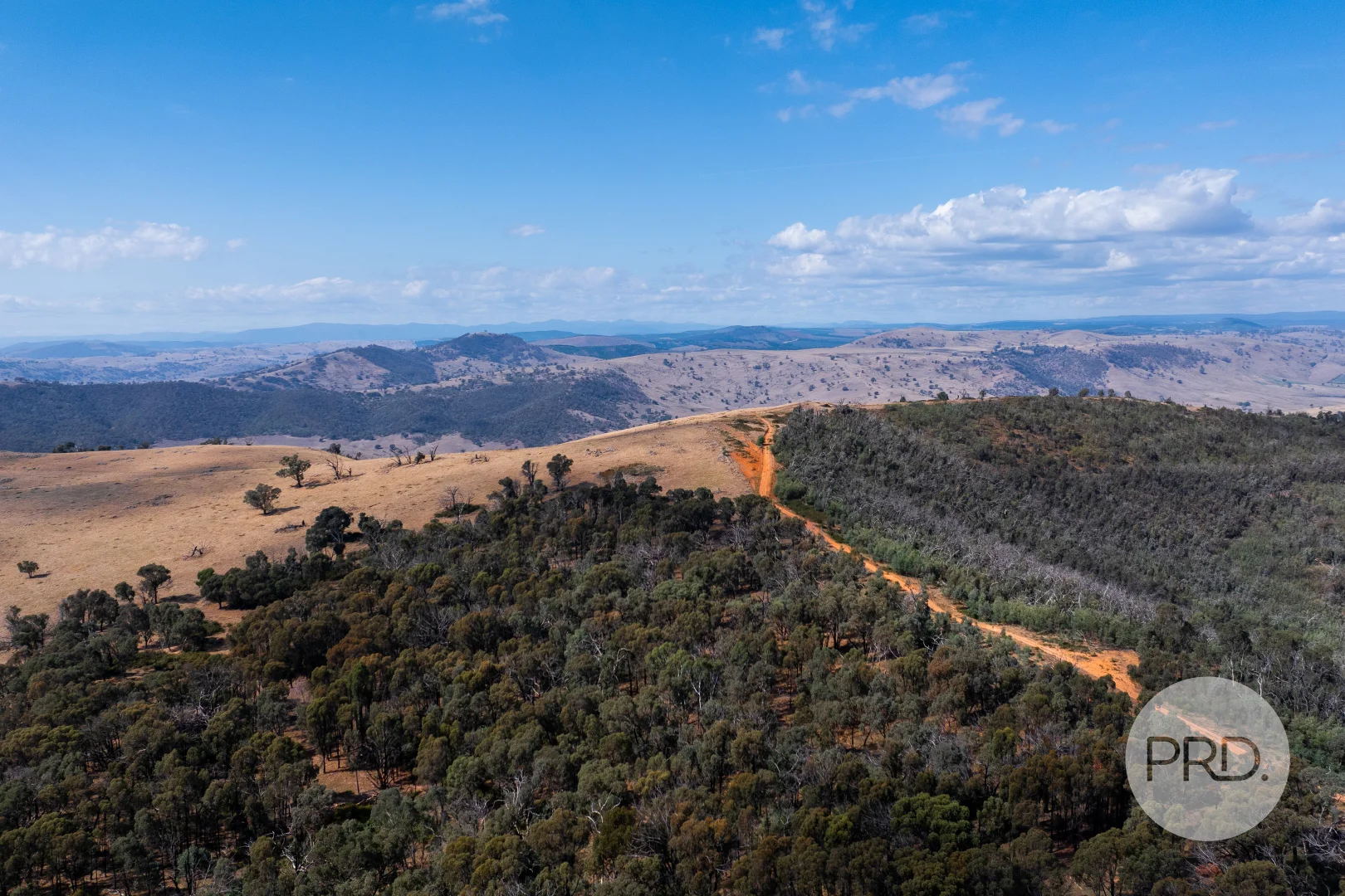 Additional image 54 of 294 Stewarts Road, Oberne Creek NSW 2650