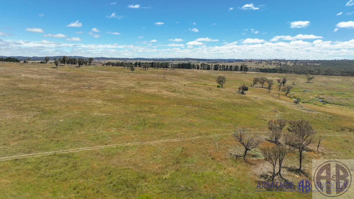 Castle Doyle NSW 2350 photo 5