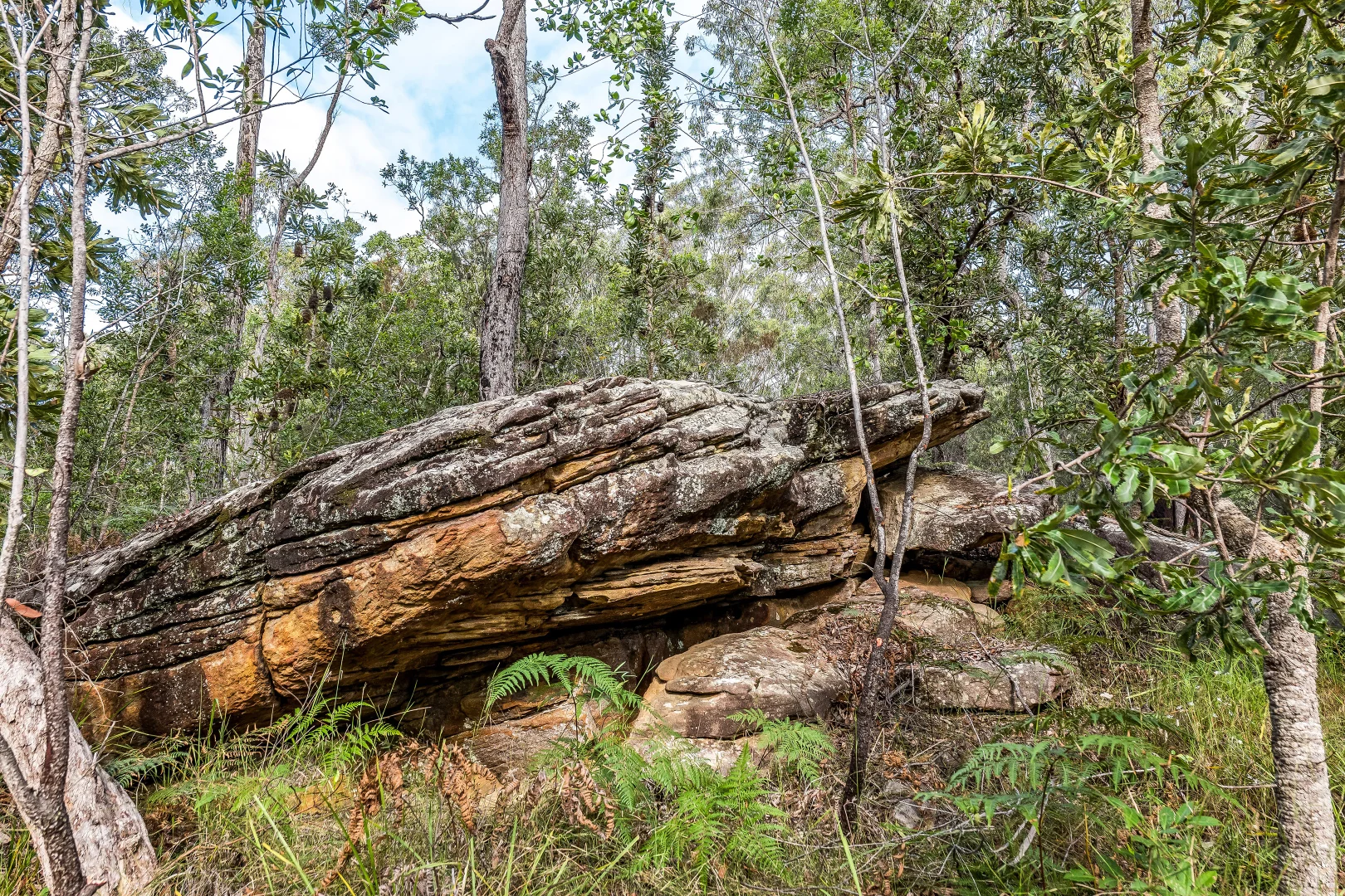 Additional image 10 of 2447 Sherwood Creek Road, Glenreagh NSW 2450