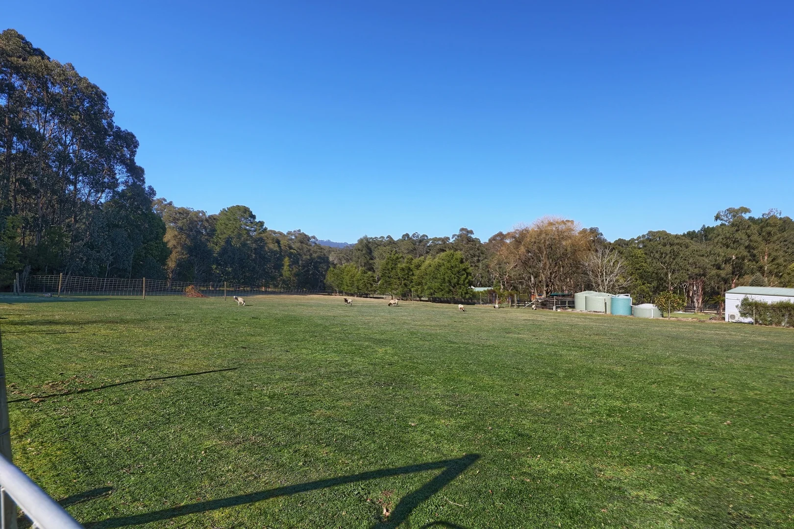 Additional image 14 of 300 Tarrango Road, Yarra Junction VIC 3797