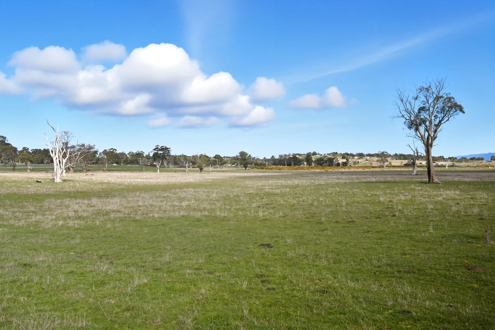 Additional image 30 of 33 Haggerston Farm Road, Perth TAS 7300