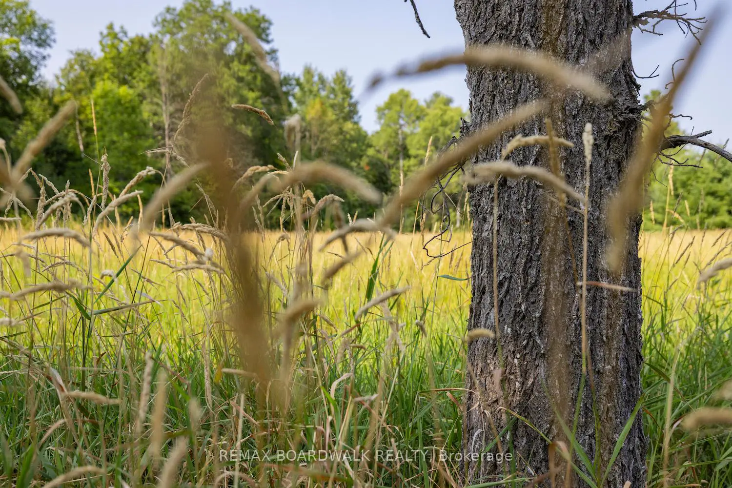 Additional image 6 of 752 Bennett Lake Road