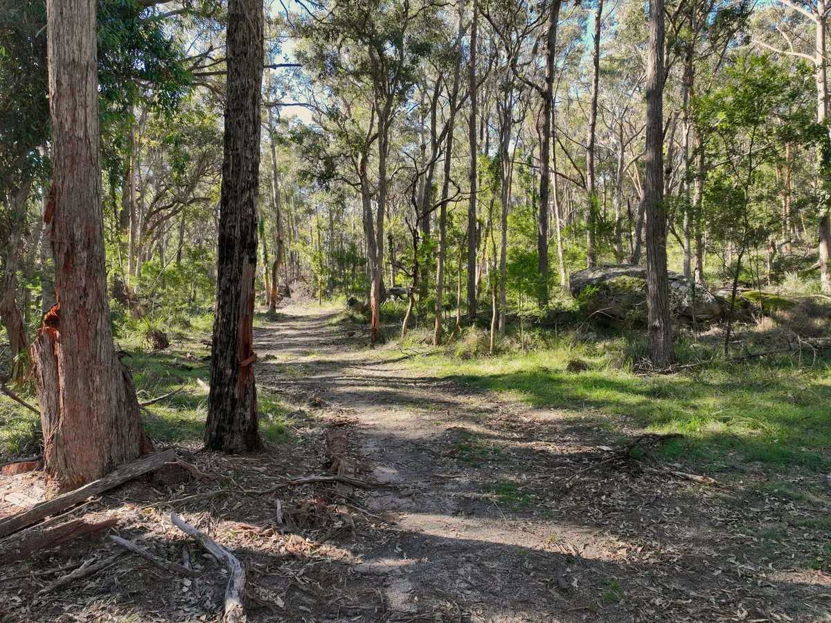 Additional image 20 of Puglisi Road, Dalveen QLD 4374