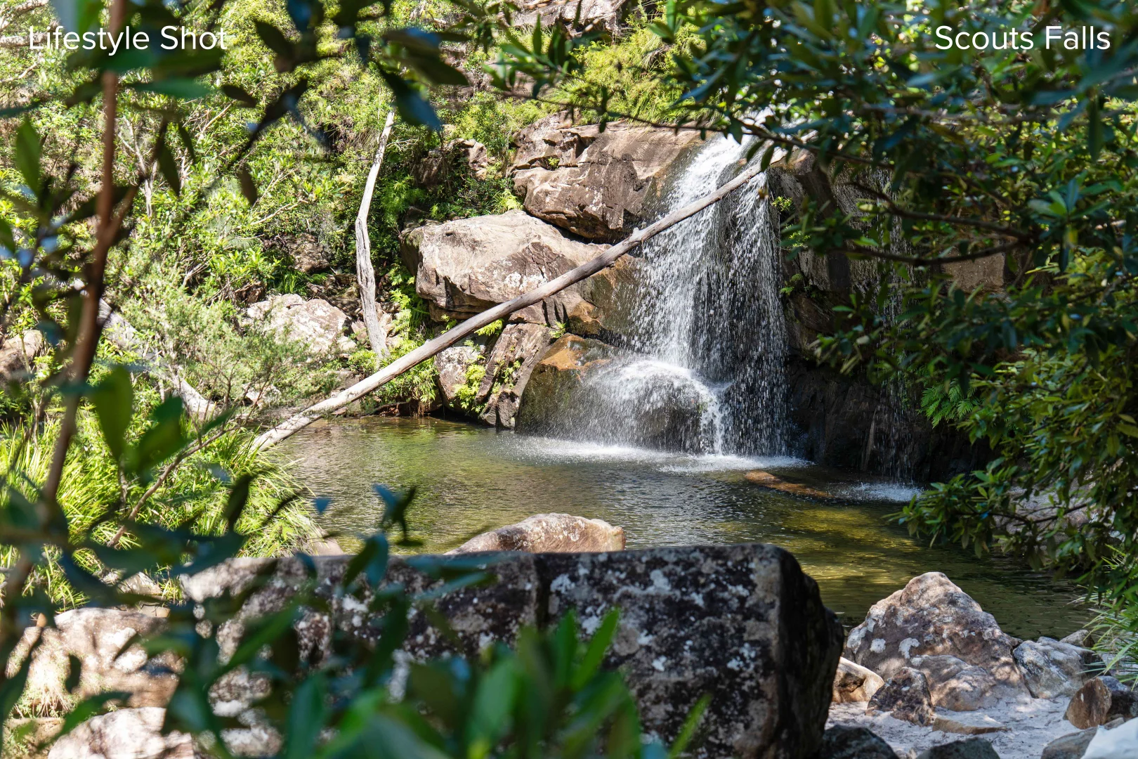 Additional image 16 of 2447 Sherwood Creek Road, Glenreagh NSW 2450