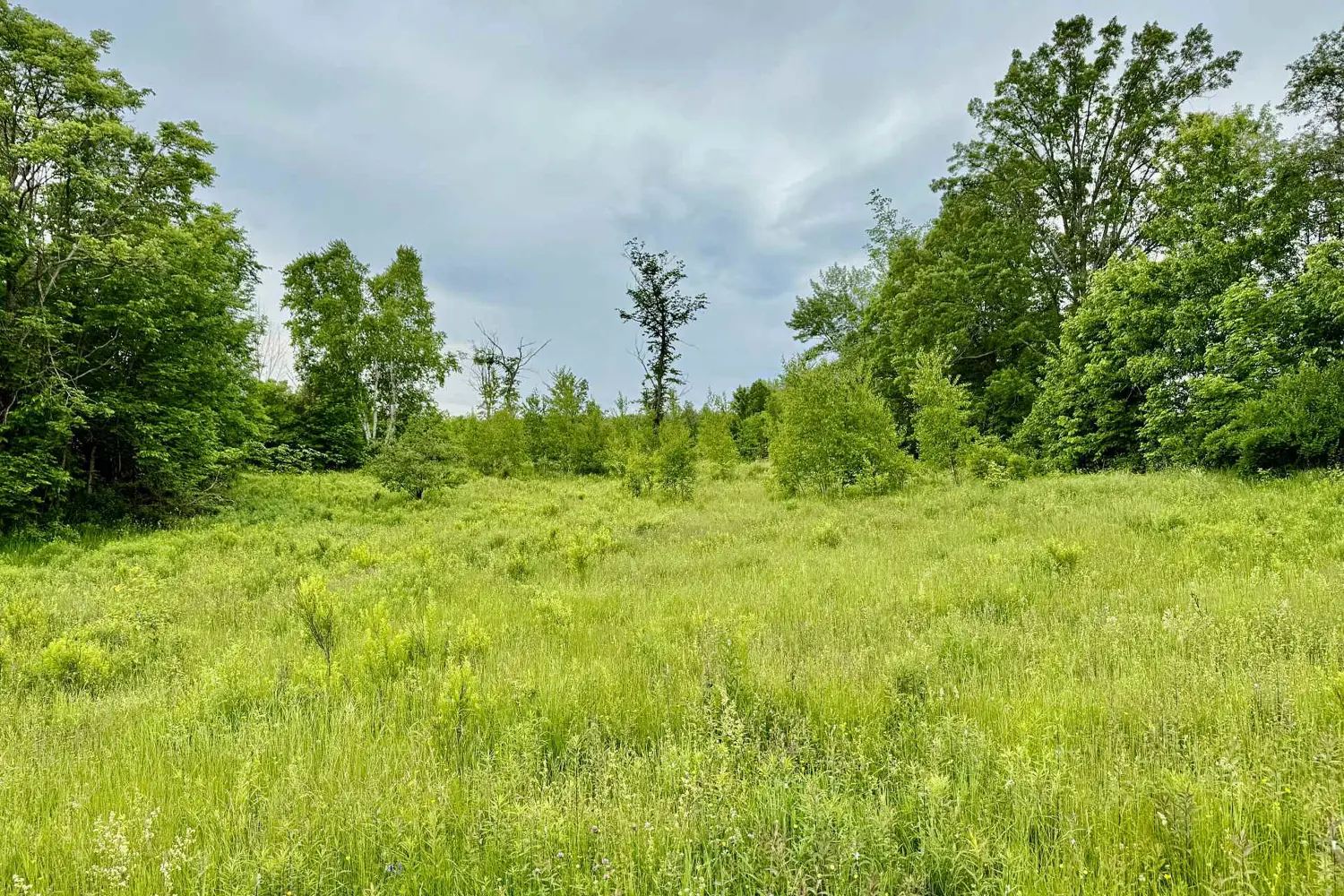 Additional image 6 of 00 Cooper Road