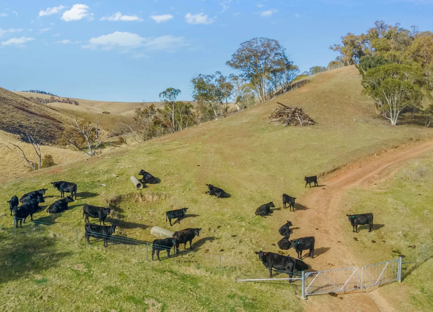 Additional image 24 of 226 Quarry Road, Ben Bullen NSW 2790