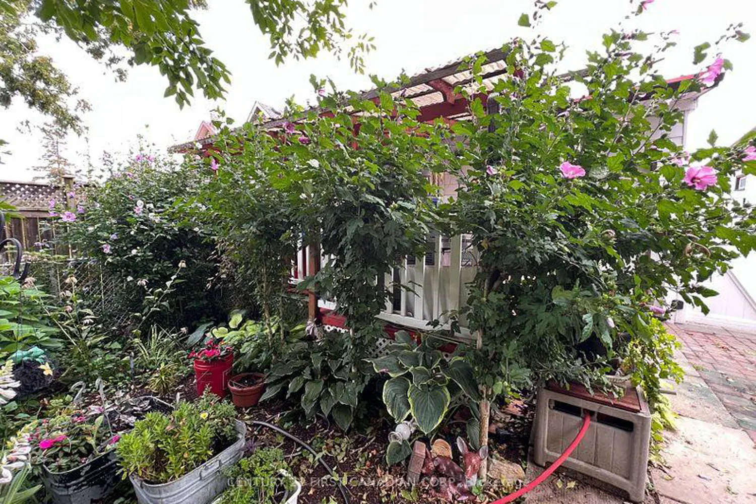 Additional image 10 of 55 Linwood Street