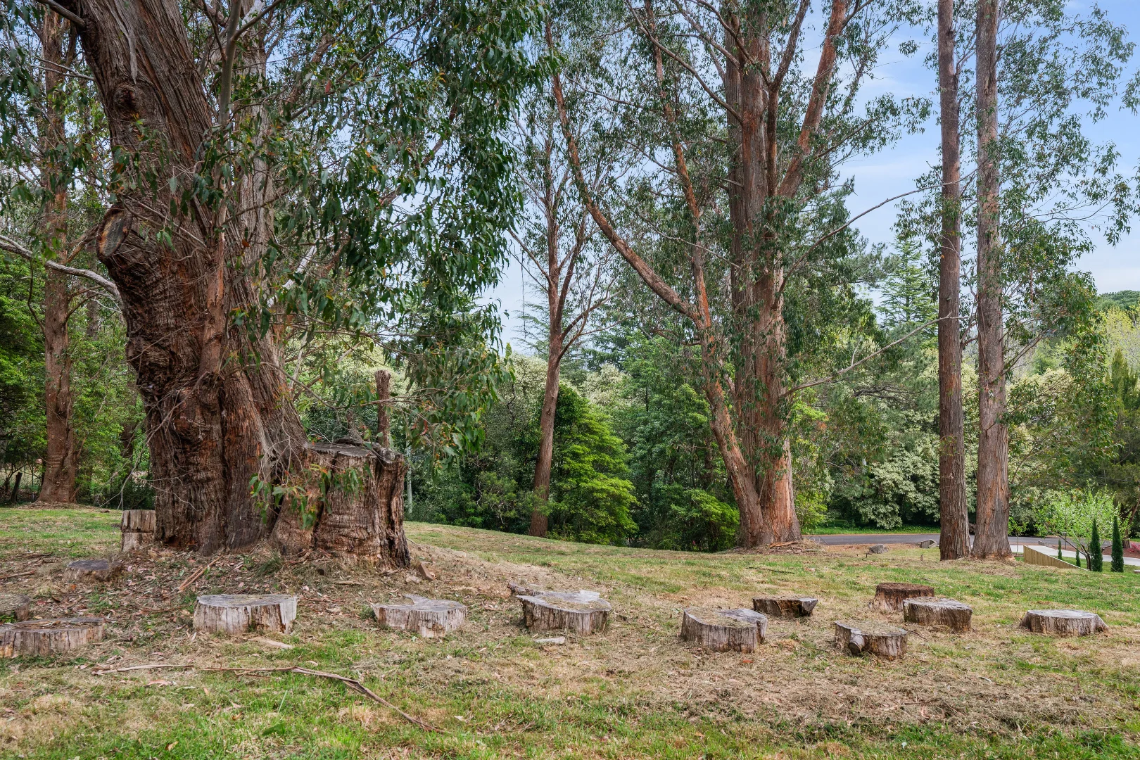 Additional image 6 of 4 William Street, Bowral NSW 2576