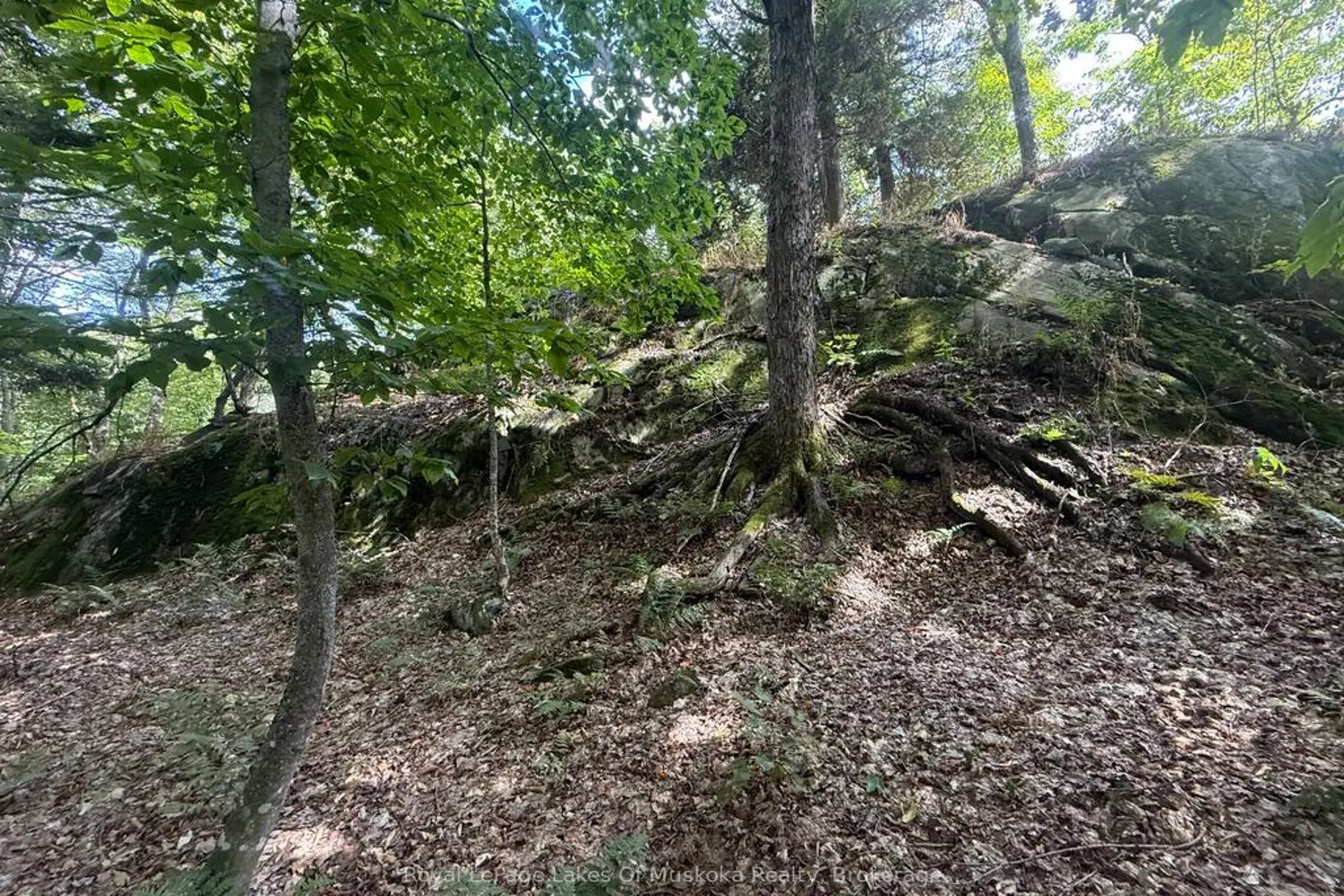 Additional image 11 of Lot 85 Brennan Circle