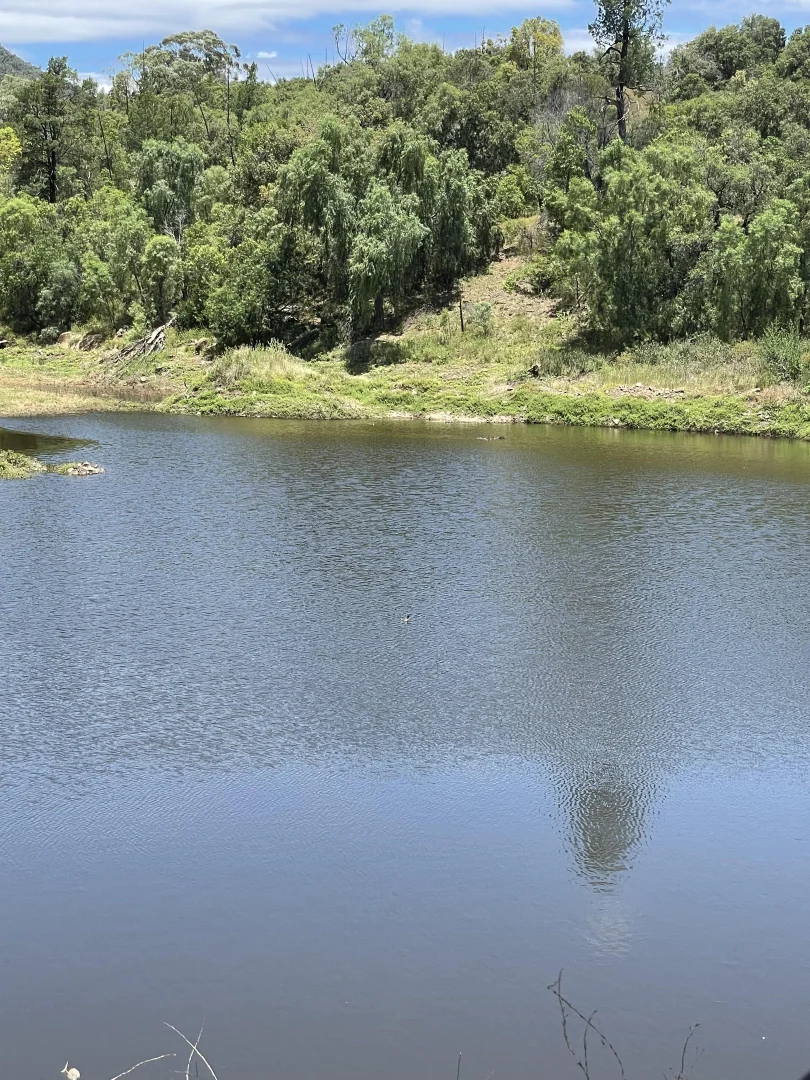 Additional image 15 of 1020 Bramble Rd, Warrumbungle NSW 2828