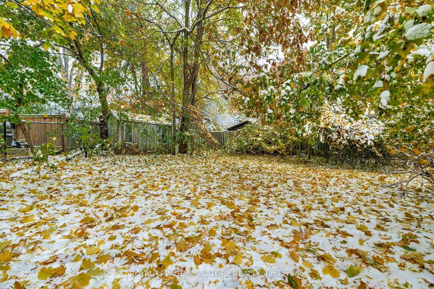 Additional image 17 of 332 Coral Terrace