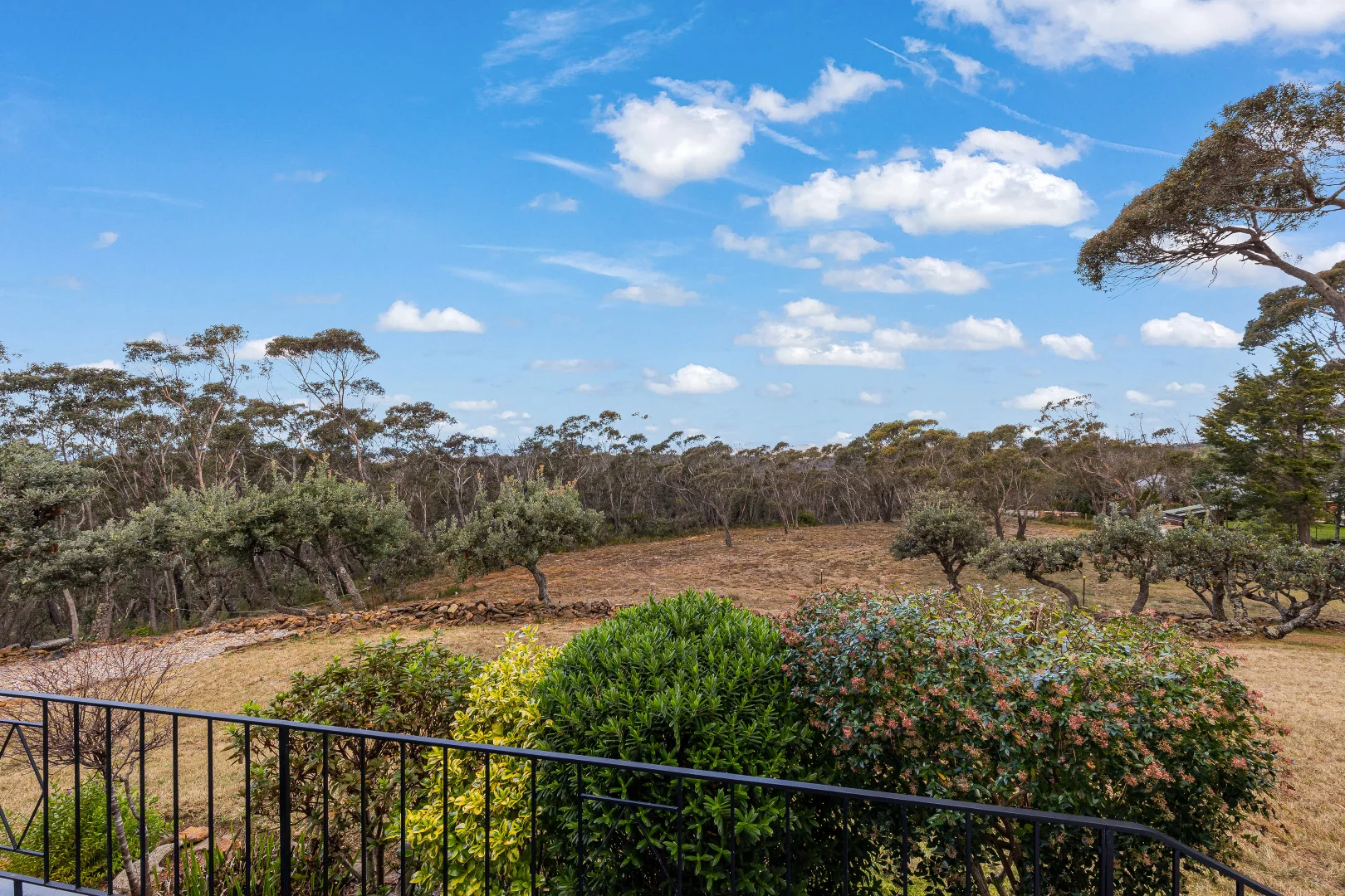 Additional image 5 of 174 Tableland Rd, Wentworth Falls NSW 2782