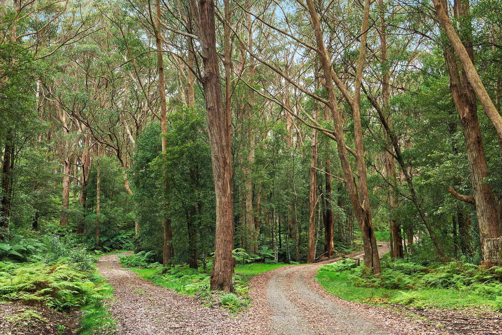 Additional image 27 of 51 & 53 Shierlaw Road, Robertson NSW 2577