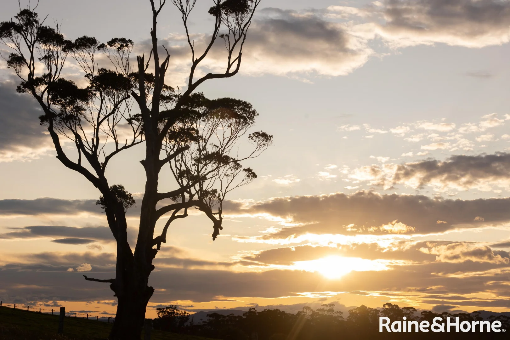 Additional image 12 of Lots 1-4, 265-266 Mimosa Park Road (via Milton), Morton NSW 2538