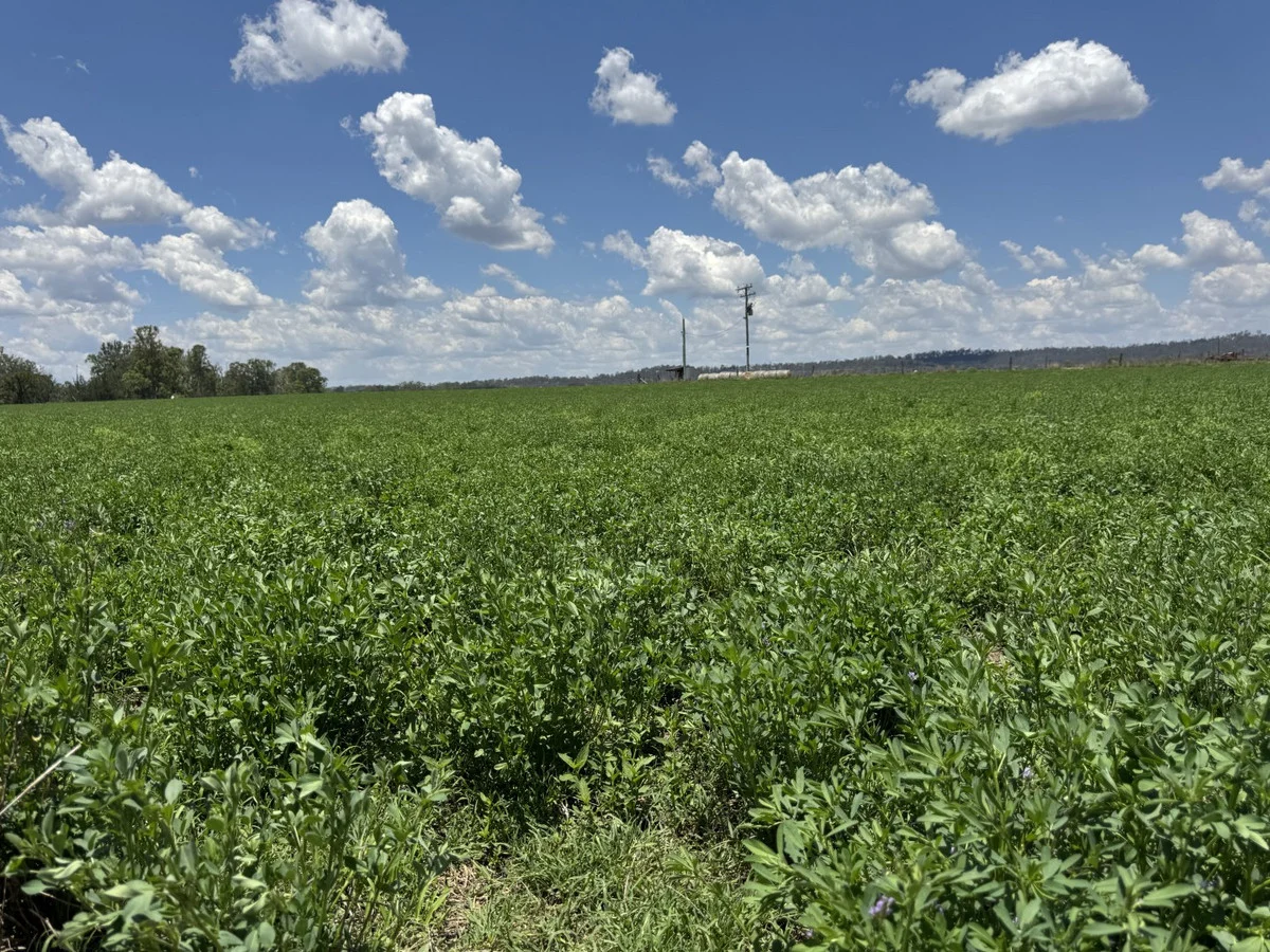 Additional image 17 of 32169 Burnett Highway, Monto QLD 4630