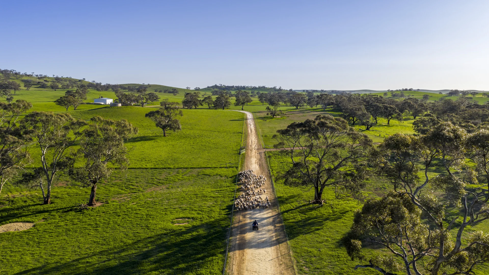 Additional image 7 of 829 Anlaby Road, Hamilton SA 5373