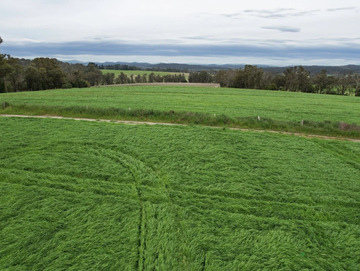 Additional image 4 of 490 Bullumwaal Road, Mount Taylor VIC 3875