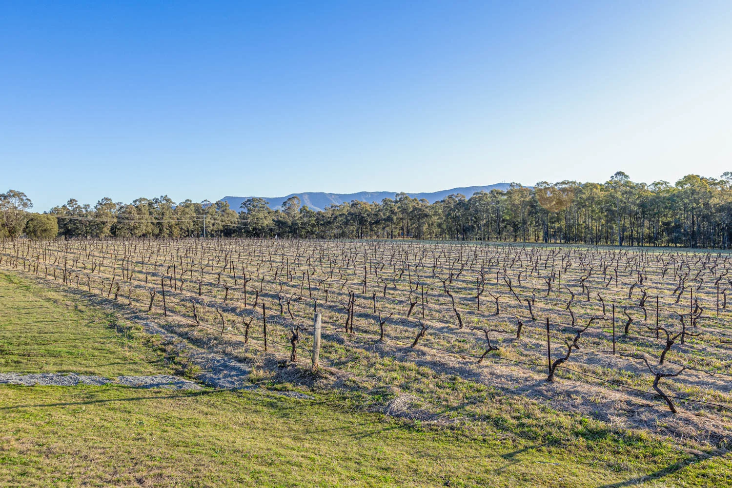 Additional image 6 of 463 Deasys Road, Pokolbin NSW 2320