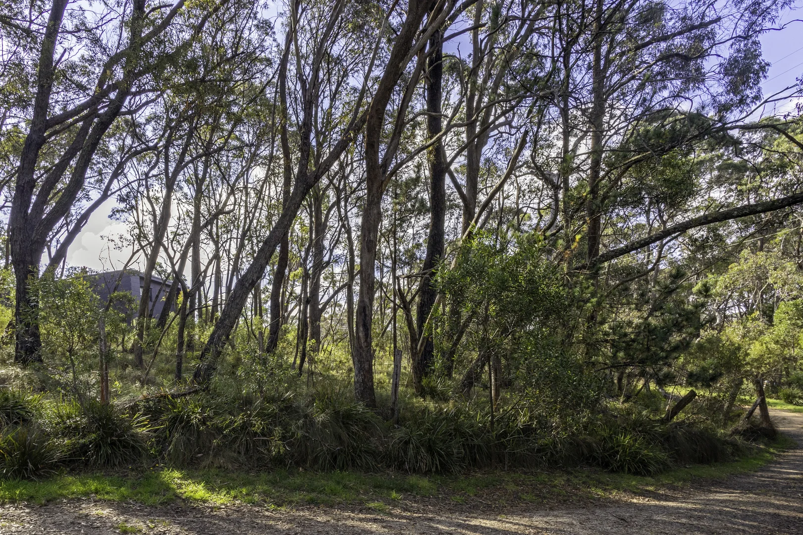 Additional image 7 of 5 Cleopatra Street, Blackheath NSW 2785