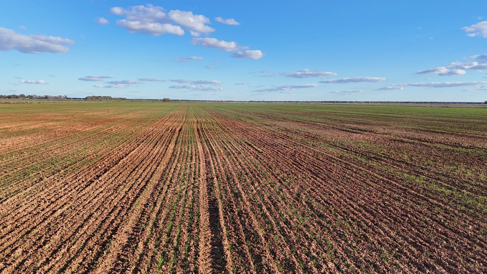 Additional image 18 of Farm 205/347 Fairlie Grange Road, Coleambally NSW 2707