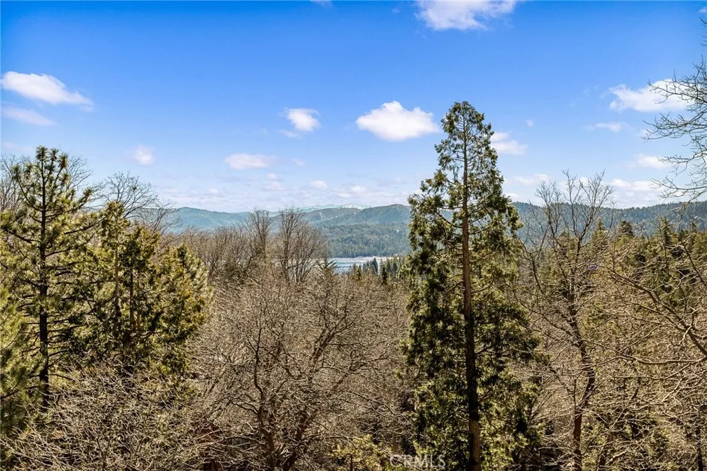 Additional image 43 of 971 Nadelhorn Drive, Lake Arrowhead, CA 92352