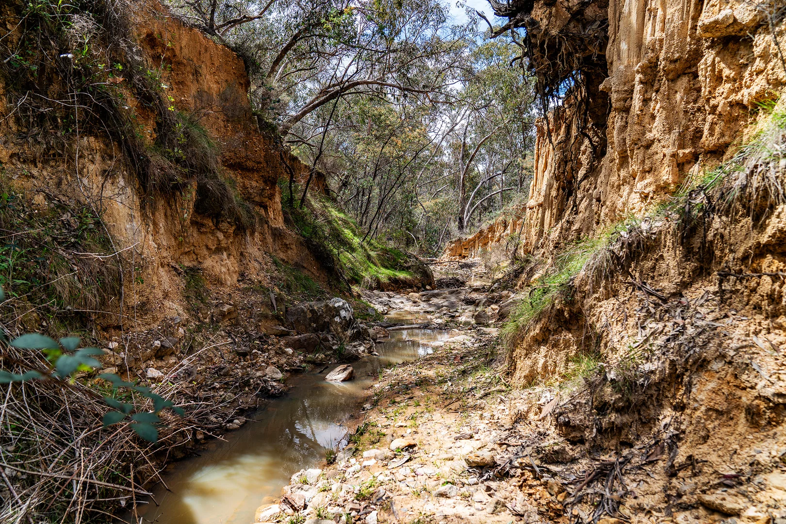 Additional image 7 of 125 Dirt Hole Creek Road, Mudgee NSW 2850