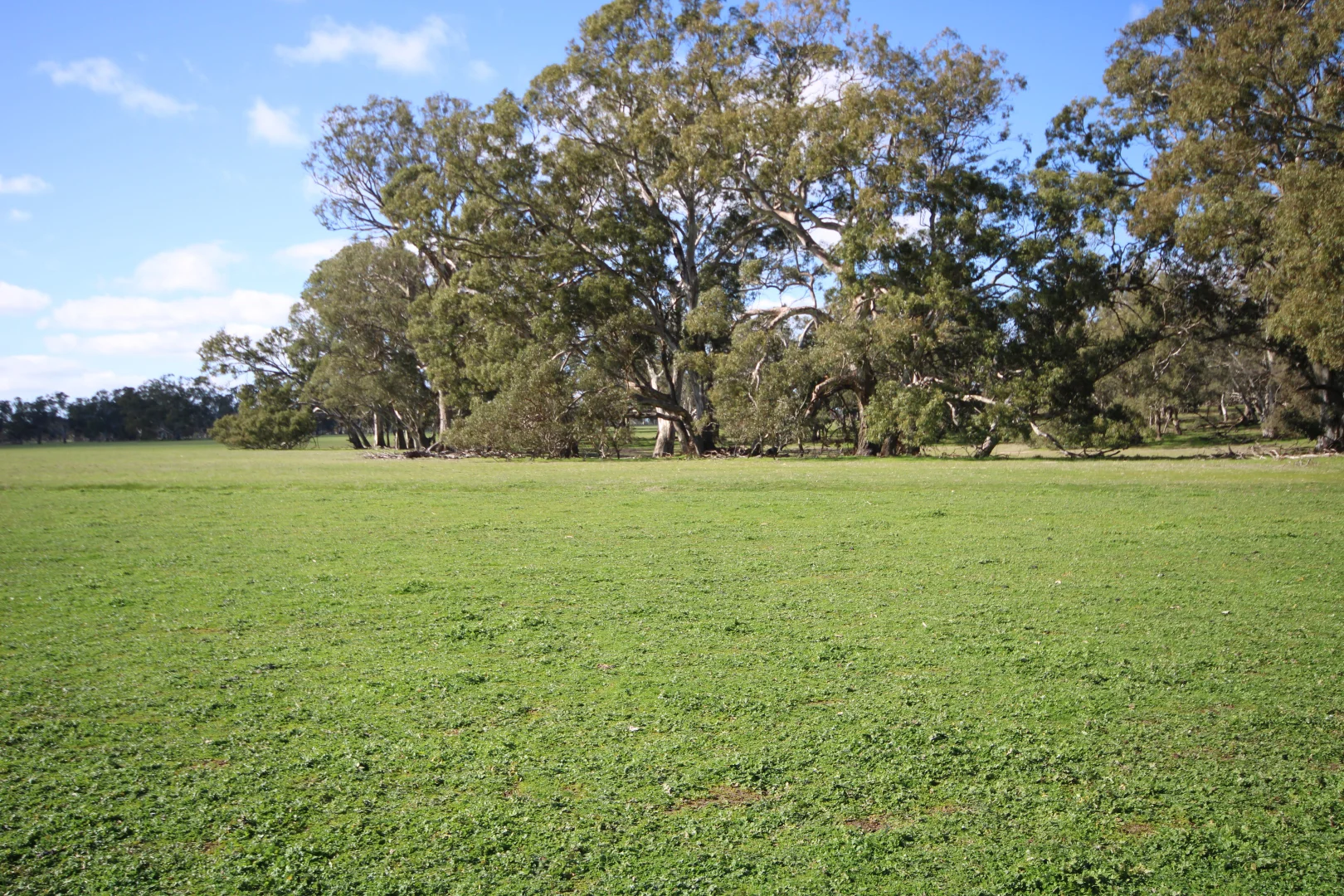 Additional image 6 of 202 Malones Road, Naracoorte SA 5271