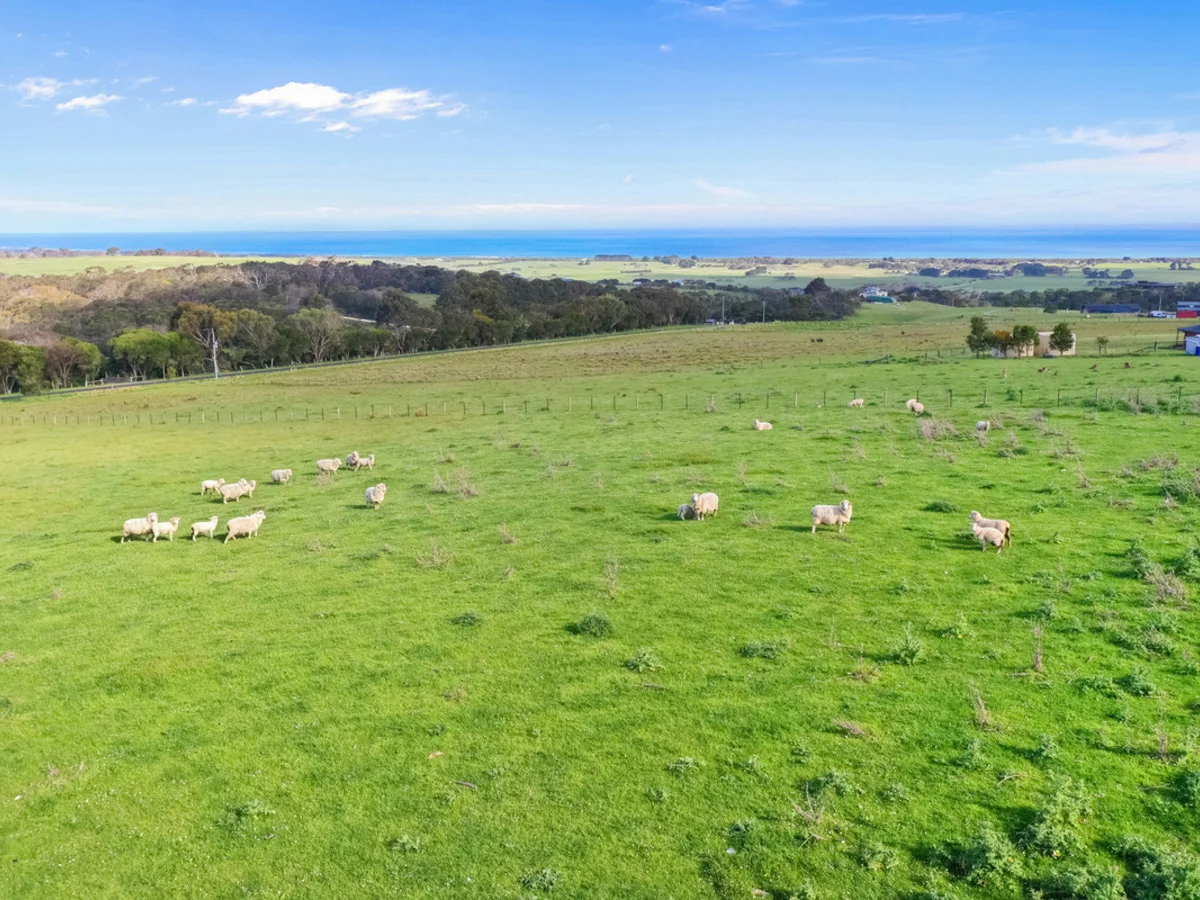 Additional image 3 of 37 Devlins Road, Narrawong VIC 3285