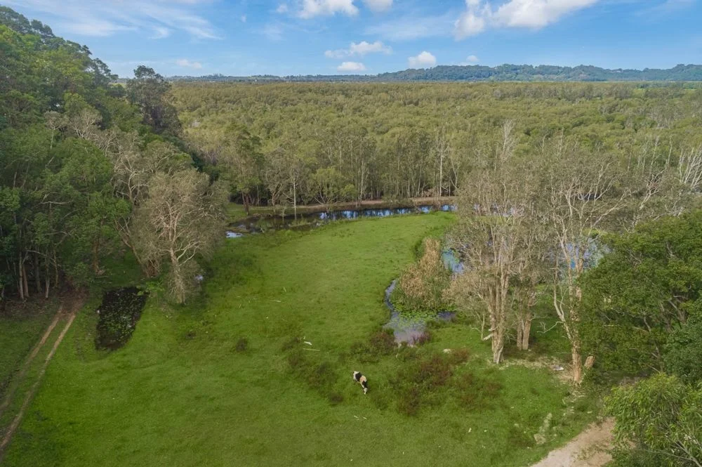 Additional image 31 of 165 McAuleys Road, Terranora NSW 2486
