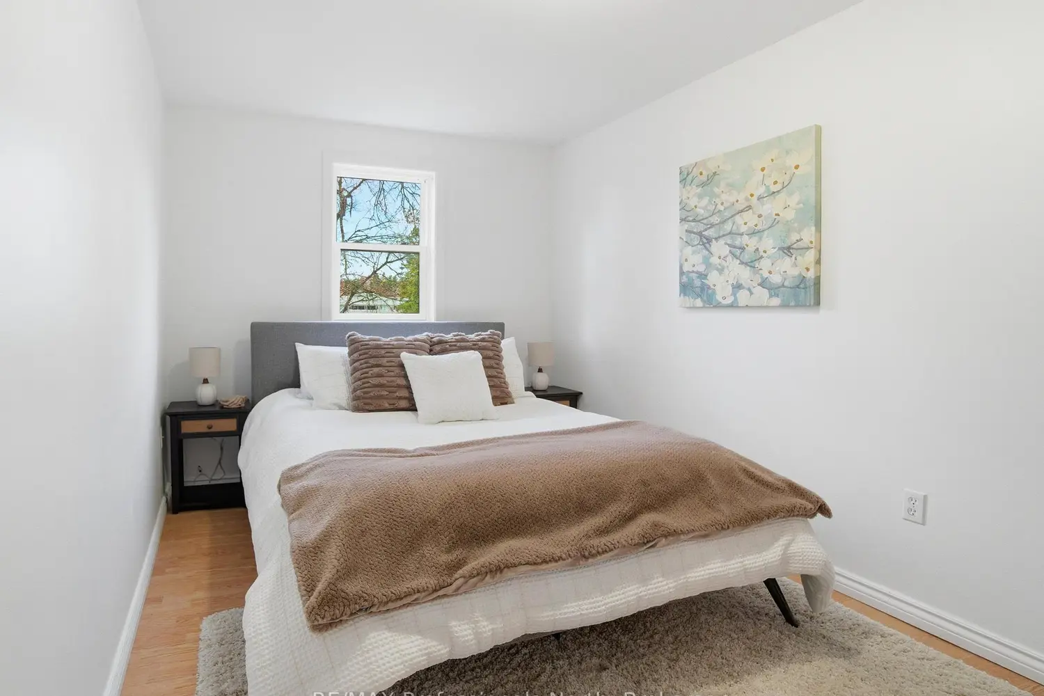 Additional image 11 of 197 Dill Street