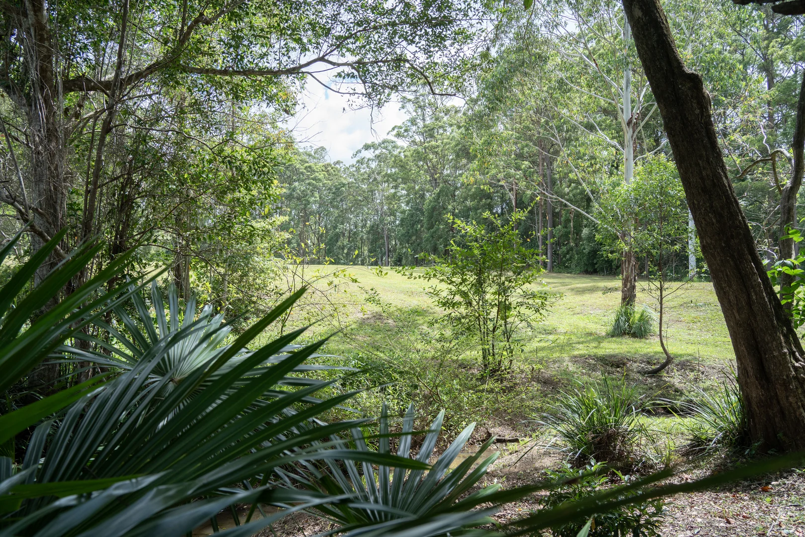 Additional image 11 of 32 Dunne Road, Glenview QLD 4553