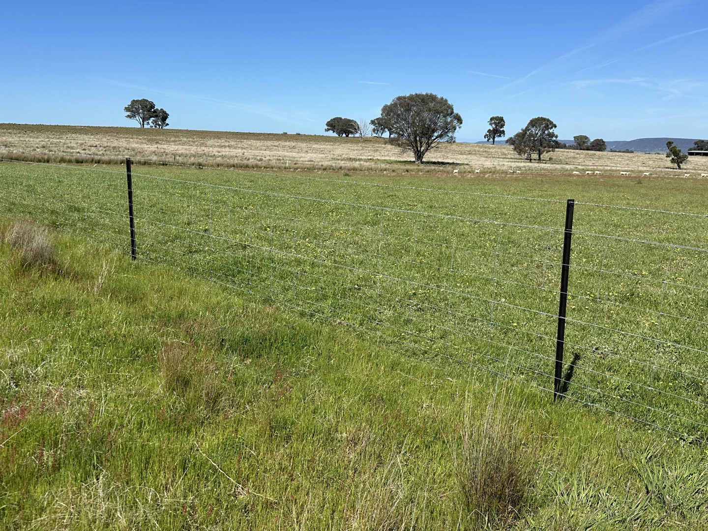 Additional image 2 of 424 Trebane Road, Crowther NSW 2803