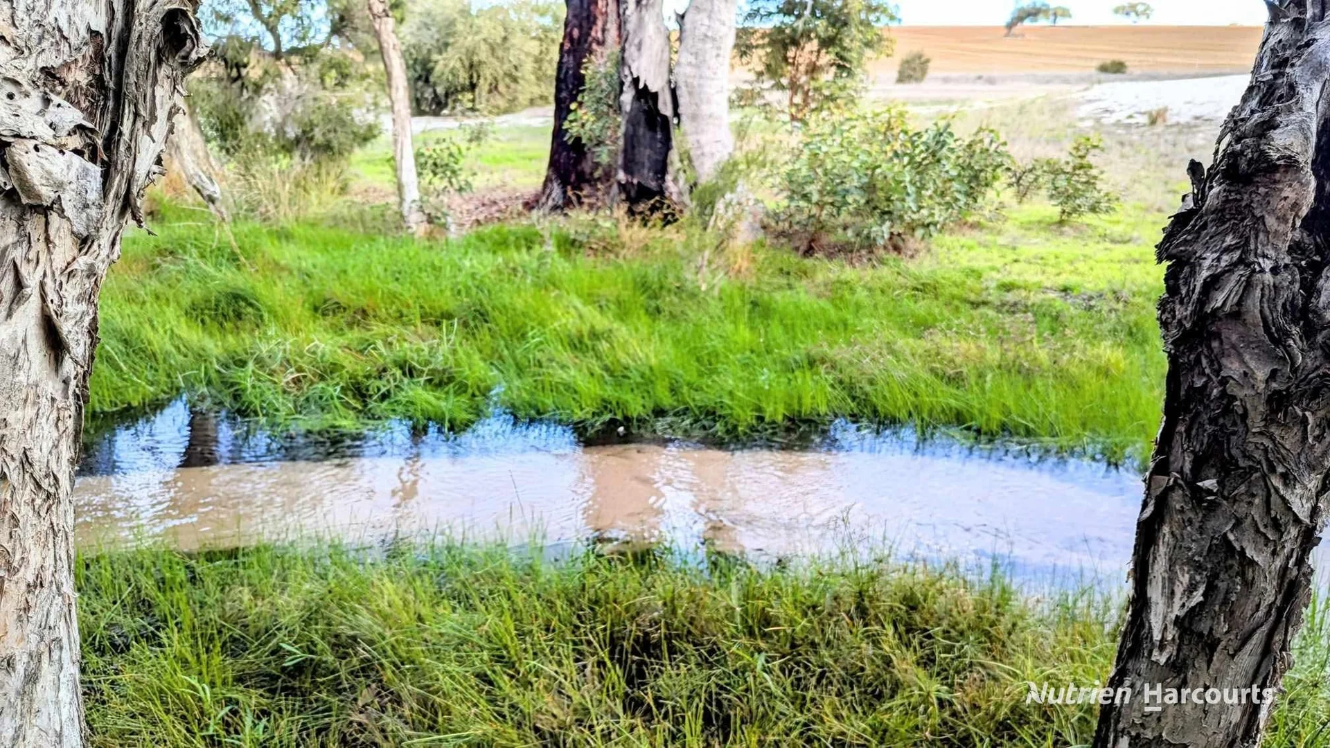 Additional image 13 of 5428 Brand Highway, Boonanarring, Gingin WA 6503