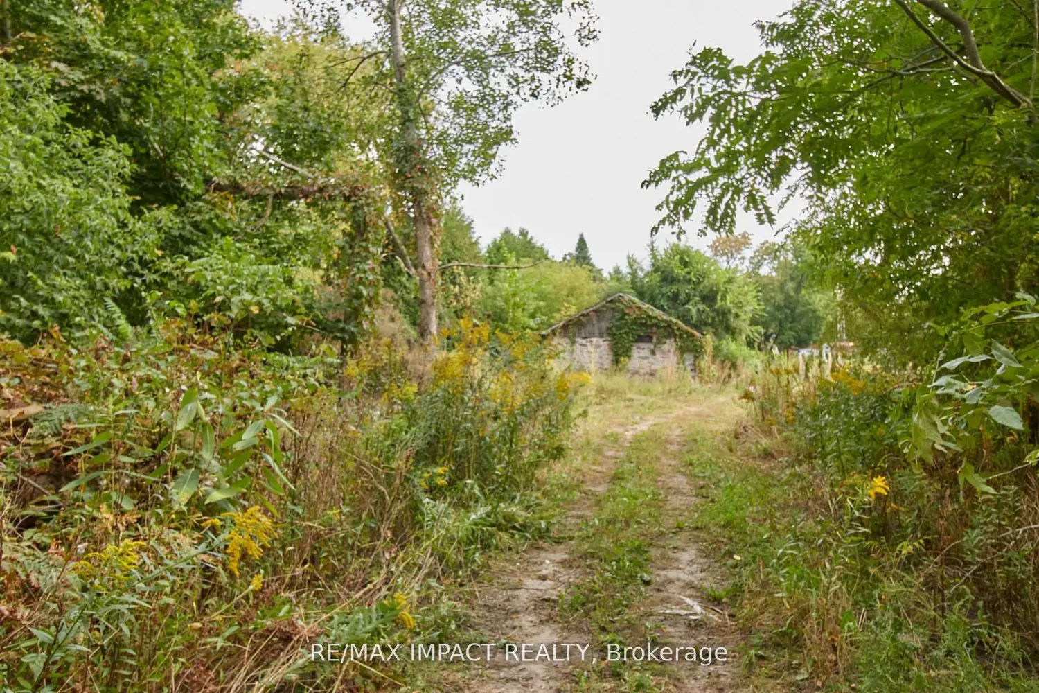 Additional image 13 of 10249 Old Scugog Road