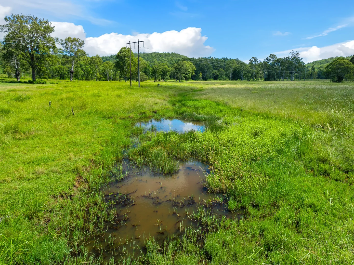 Additional image 8 of 57 Hancocks road, Piora NSW 2470
