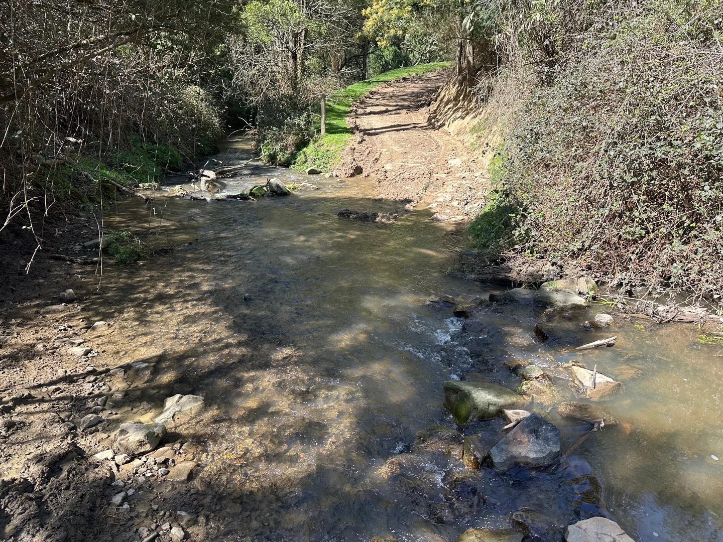 Additional image 8 of 3655 South Gippsland Highway, Foster VIC 3960