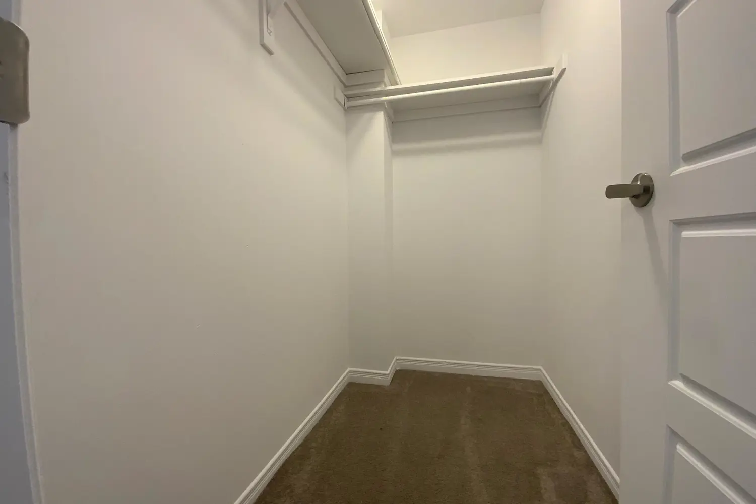 10 Beatty Avenue photo 4