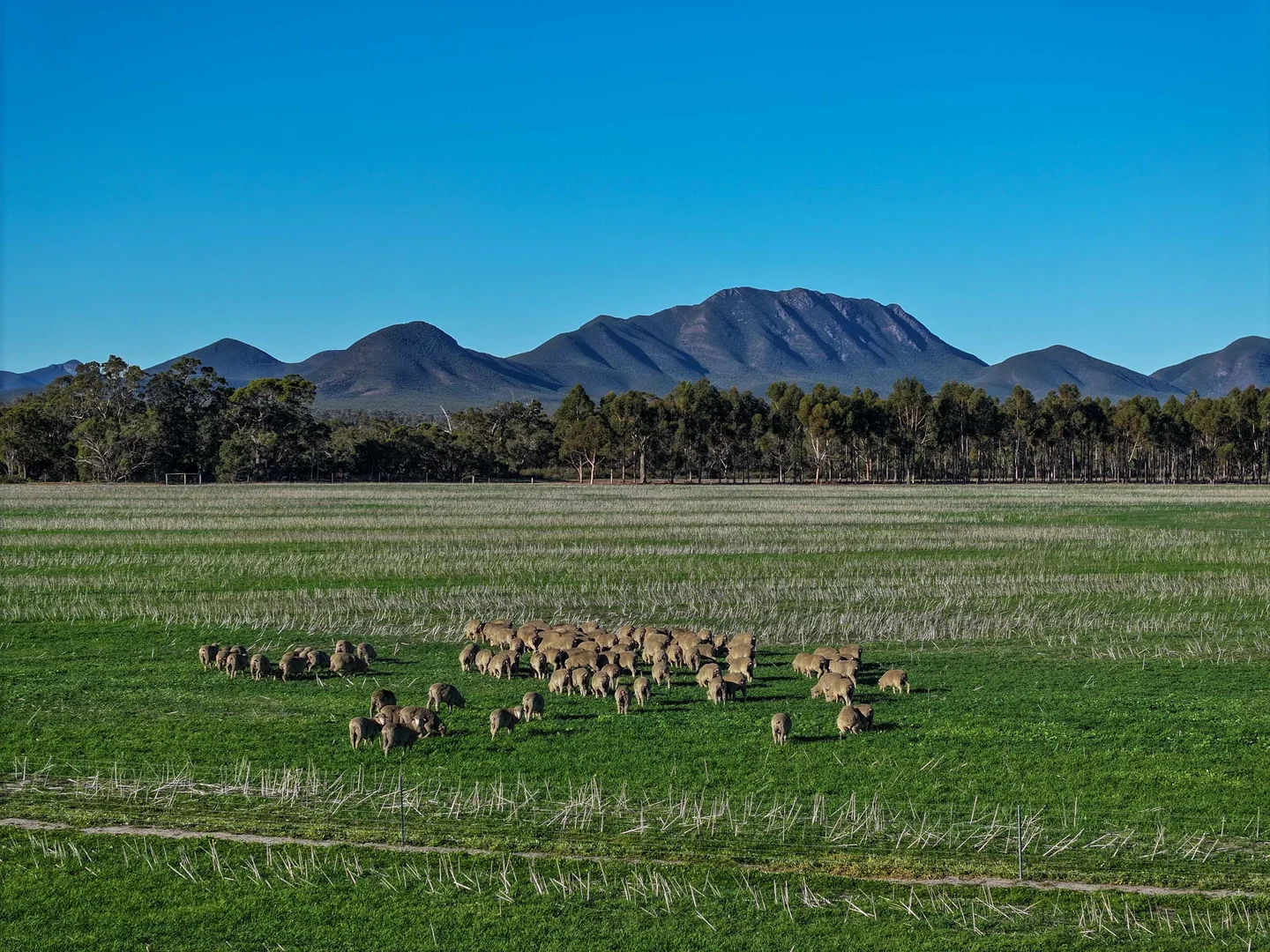 Additional image 18 of 712 View Range Road, Kendenup WA 6323