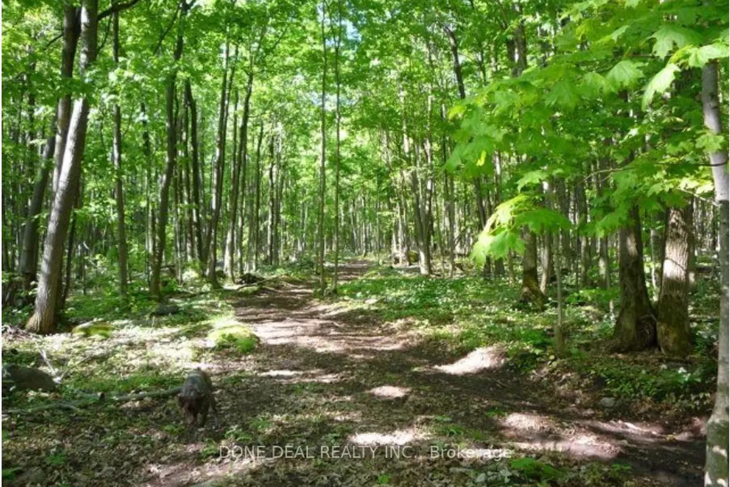 Additional image 2 of 111 Nippissing Ridge Road