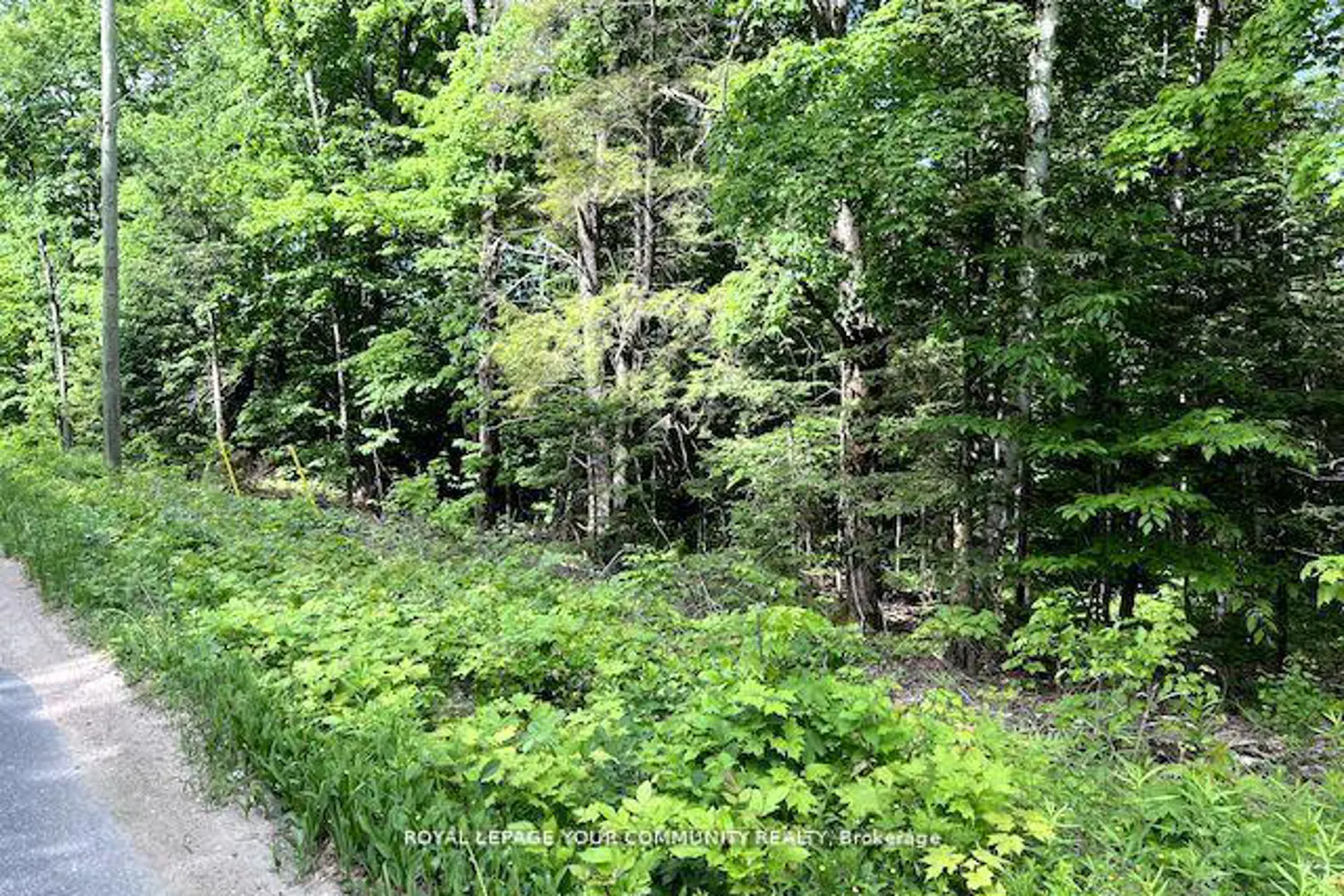 Additional image 12 of N/A Uffington Road