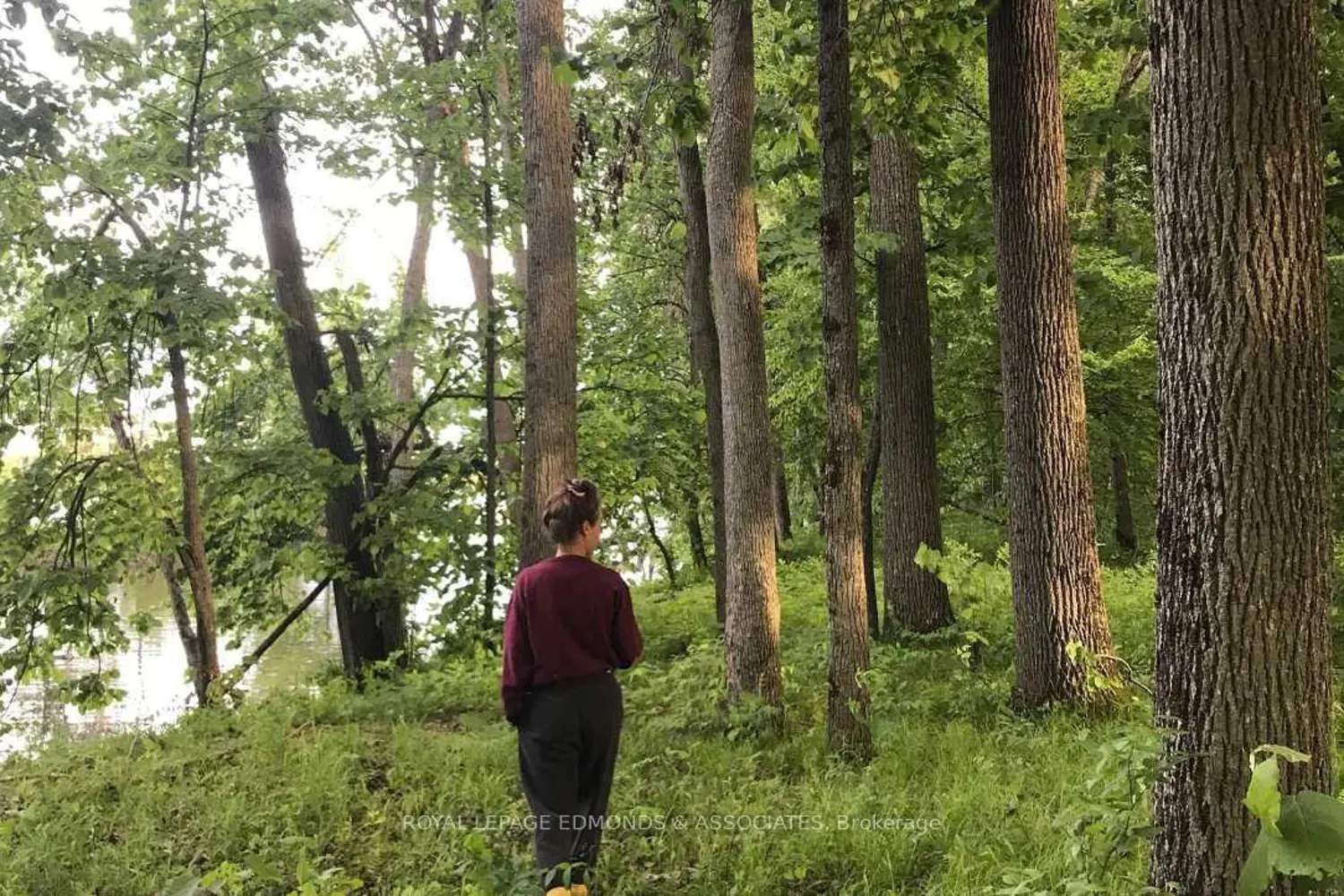 Additional image 13 of 0 Butternut Island