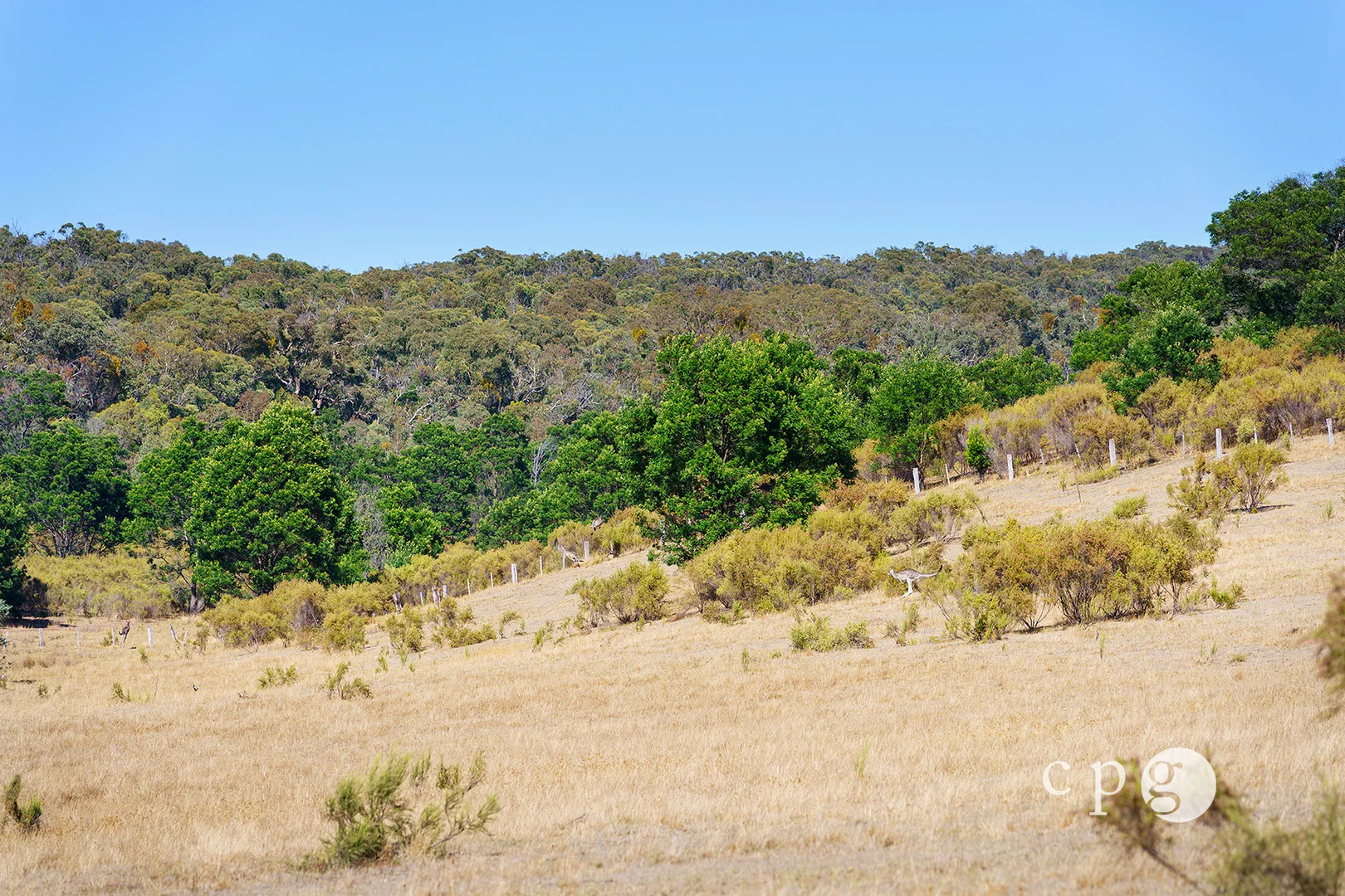 Additional image 12 of 17 Buntins Road, Elphinstone VIC 3448