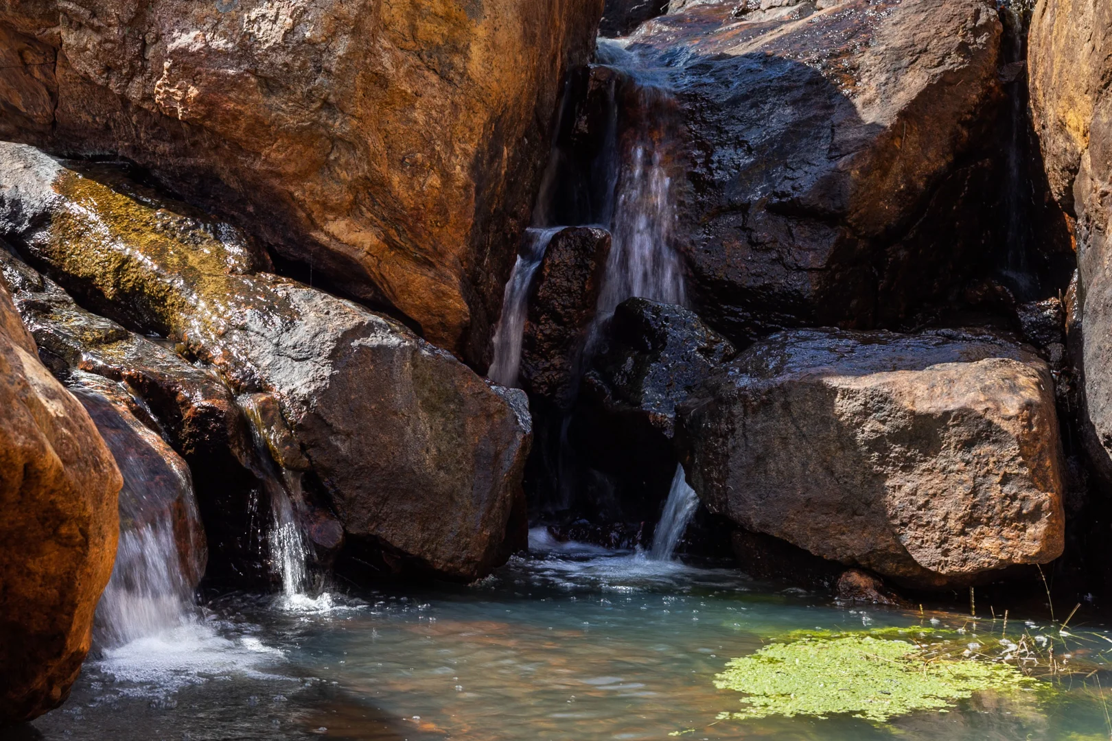 Additional image 11 of North Dandalup WA 6207