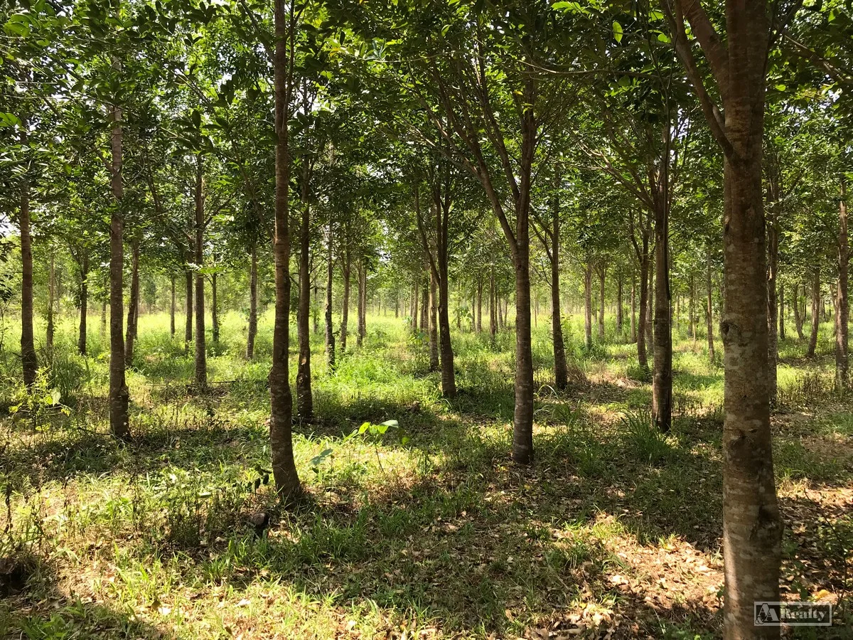 Additional image 4 of L15 Broccardo Road, Garradunga QLD 4860